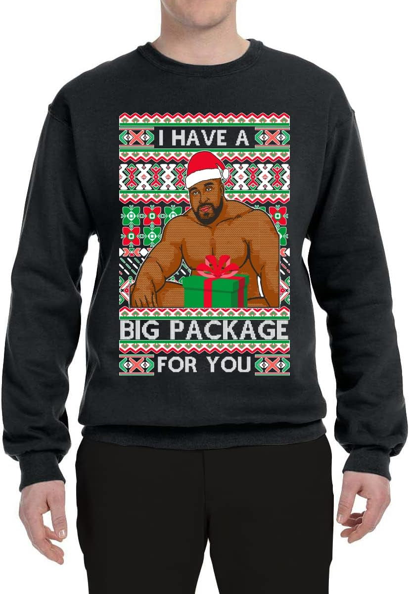 Big Package Meme Christmas Sweatshirt, view 2